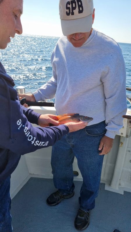Aran Sea Tours 72